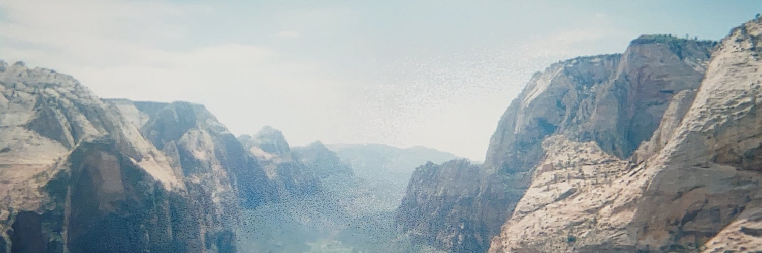 CC McGraw banner