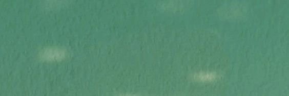 Janawy_'s profile banner image