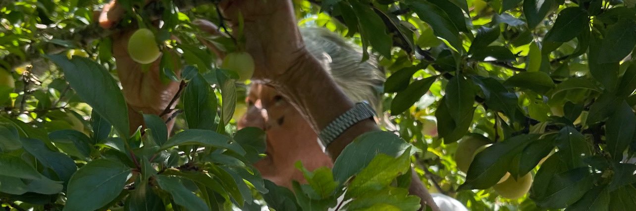 williambusss's profile banner image