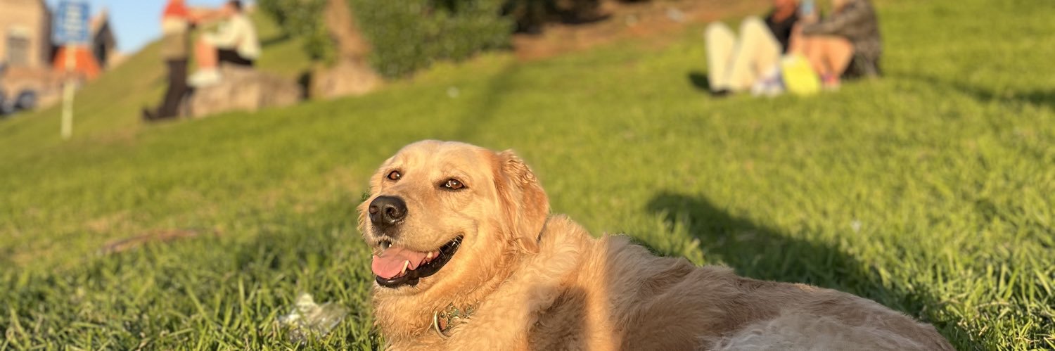 MariaBay_'s profile banner image