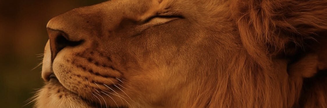 thomasghurst's profile banner image