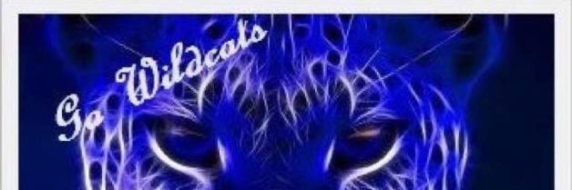 The Joan Zone banner