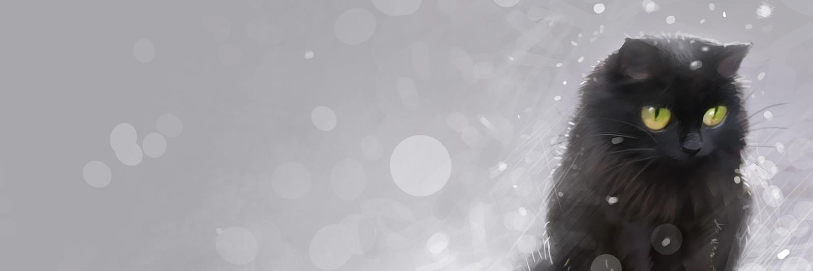 35_Aviator_35's profile banner image