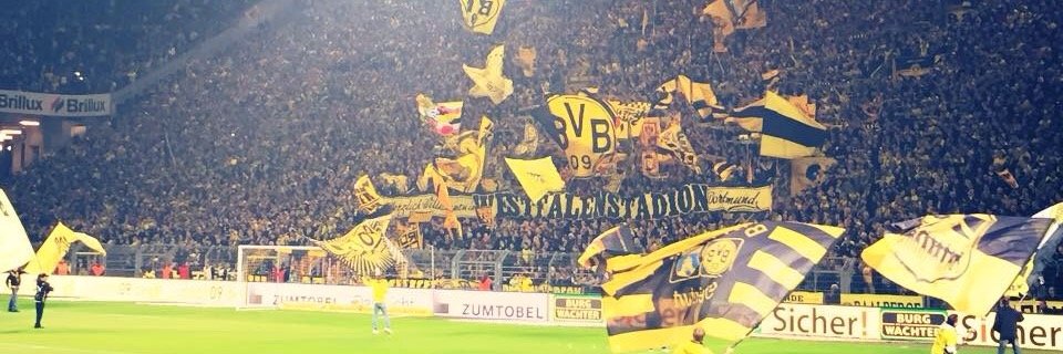 xdermicke's profile banner image