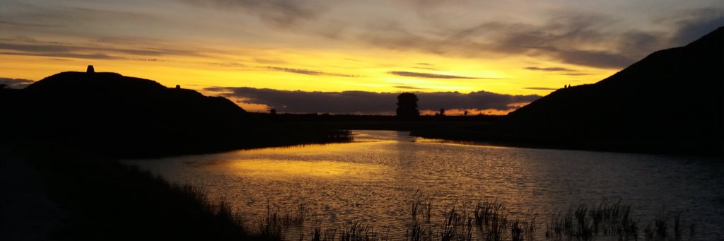 Nicola Davies banner