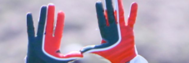 canesdynasty's profile banner image