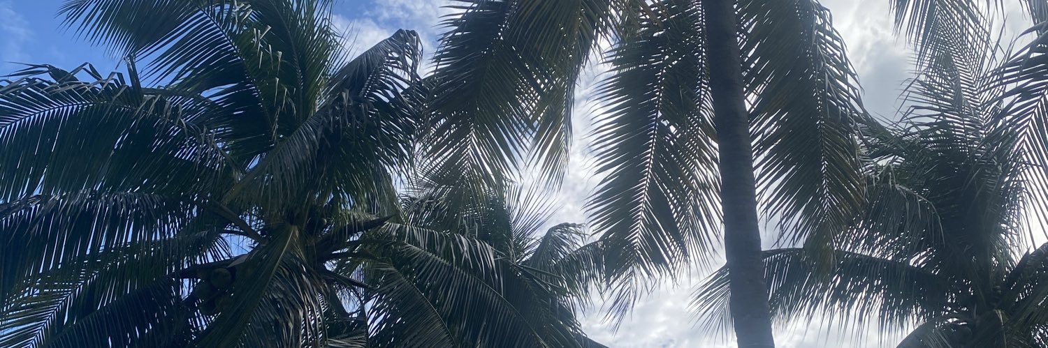 Glamorousaly's profile banner image
