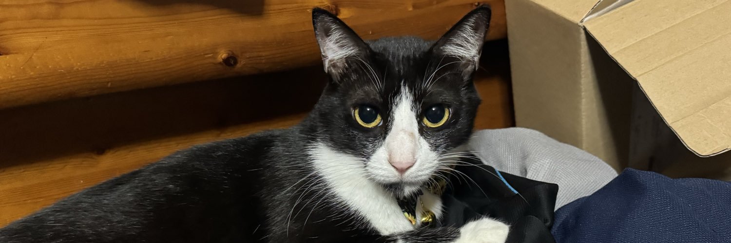 ねぎとろ🐎灰姫推しのP🤵 banner