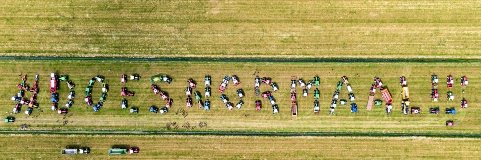 Carla Van De Kruys banner