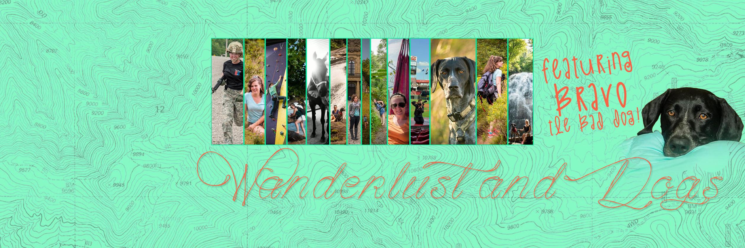 Wanderlust_Dogs's profile banner image