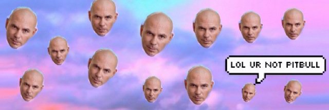 blowingpitbull's profile banner image