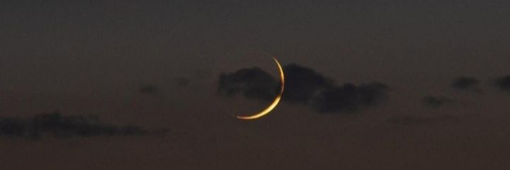 FaMurgueitio's profile banner image