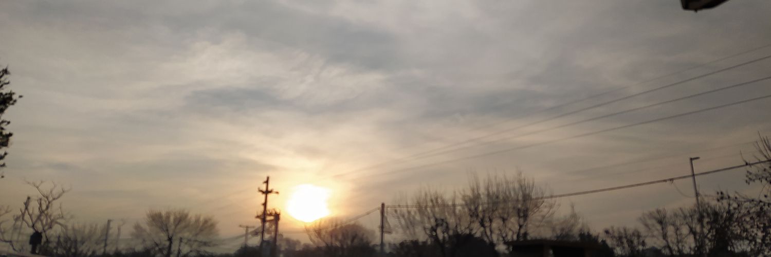 Coco_Pomiglio's profile banner image