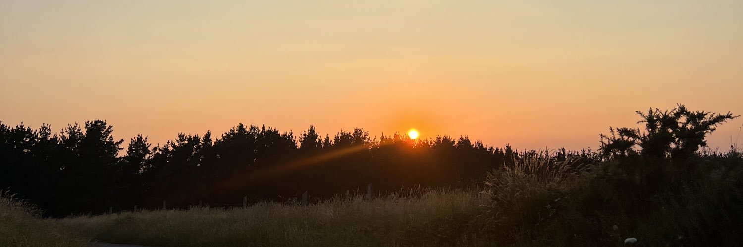 lidiaamp's profile banner image