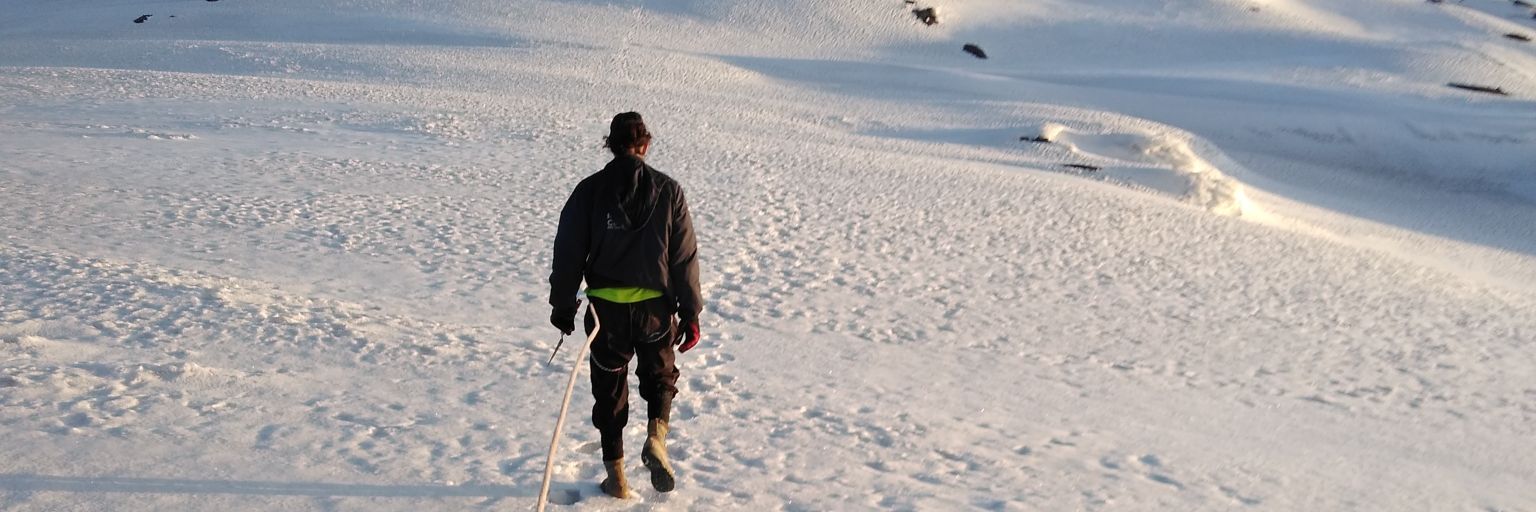 junipaco's profile banner image