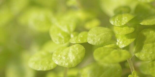 borum0115's profile banner image