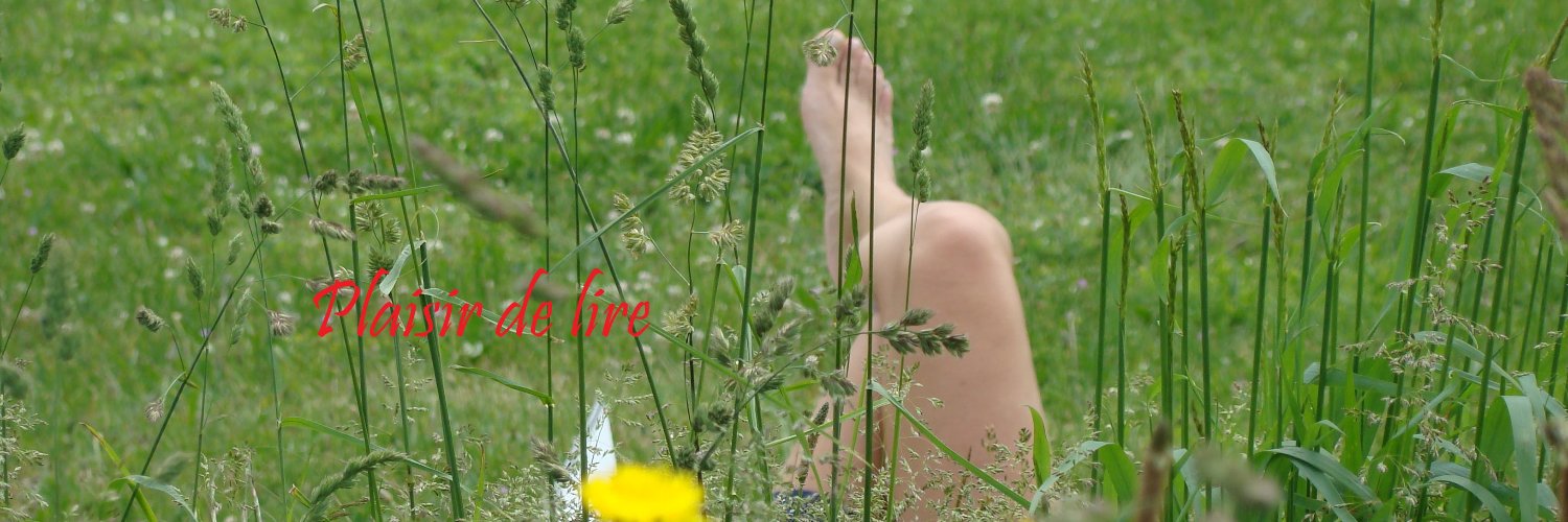 ChDevillaine's profile banner image