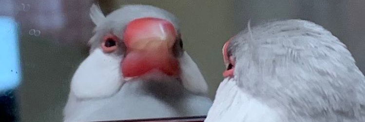 zekisanir's profile banner image