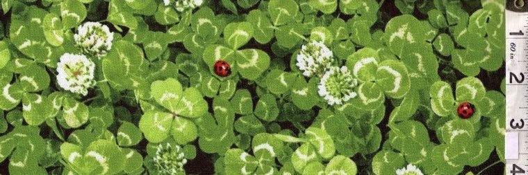 lyalya⋮｡" banner