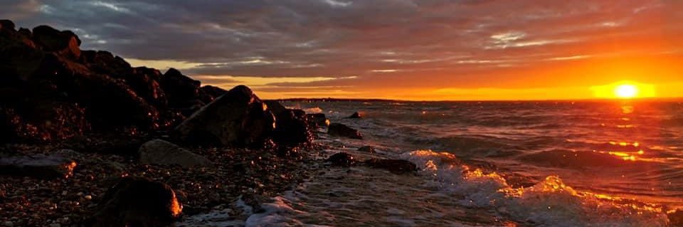 Jessica Dicks banner