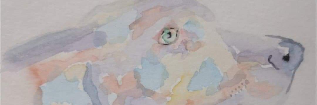 Salmasherif___'s profile banner image