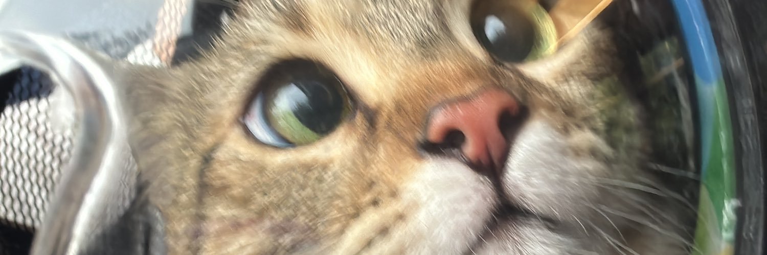 nevindelil's profile banner image
