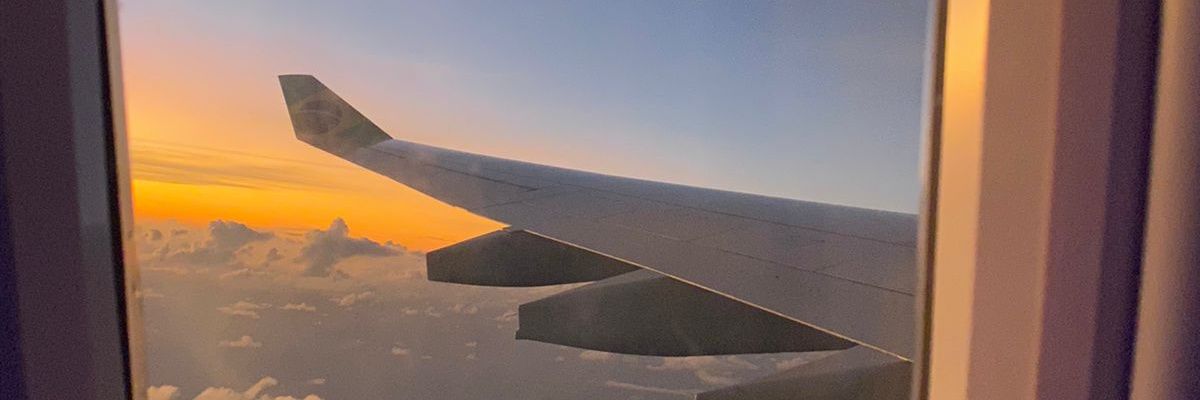 sofiam_ls's profile banner image