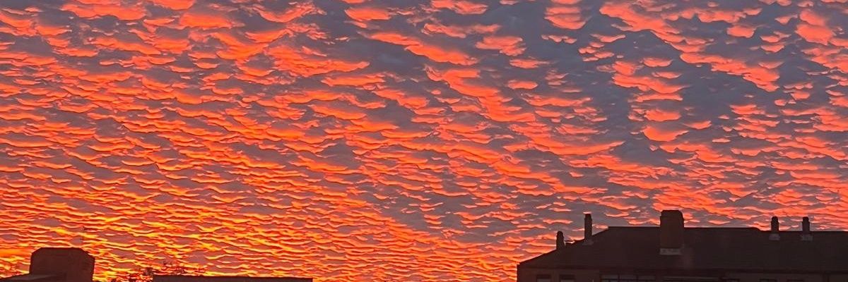 ikercadee's profile banner image