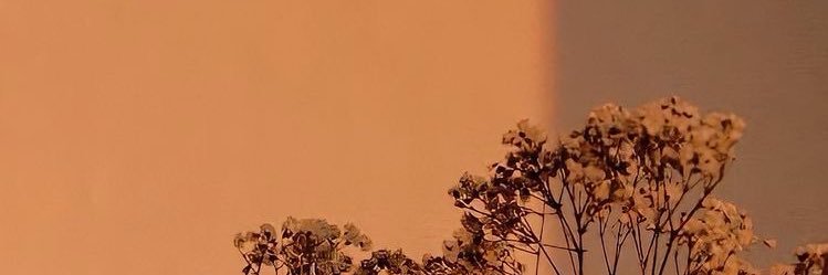 🌚 banner