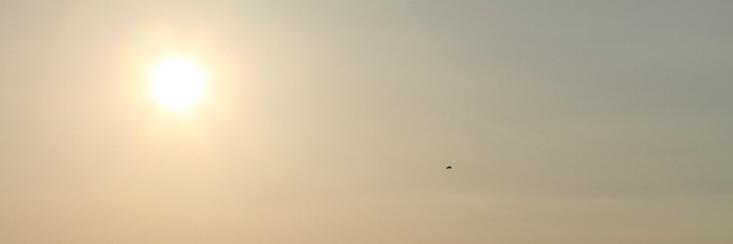 EmmaVMq's profile banner image