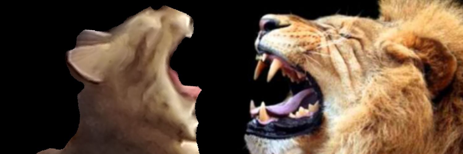 AntonDeFran's profile banner image