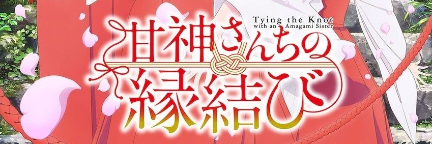 Chris D. Star banner