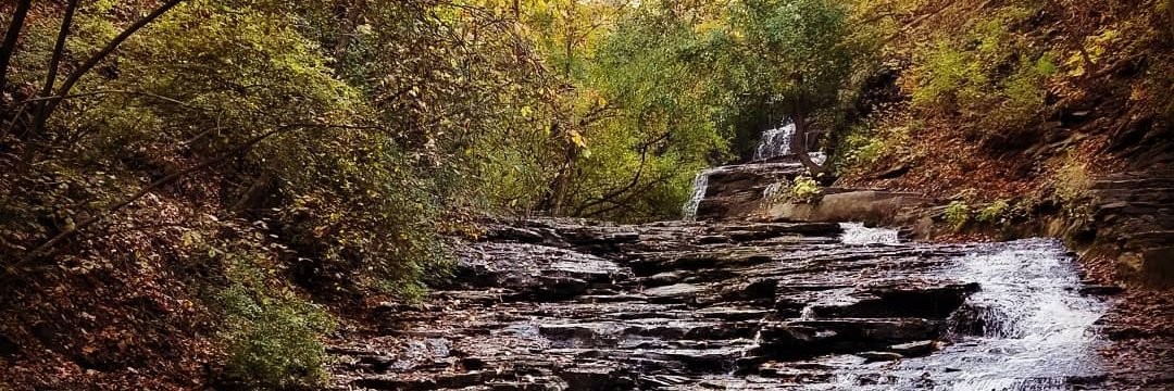 Dr. Traci Nathans-Kelly - she/her/they banner