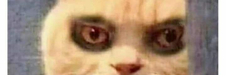 abel_c6's profile banner image