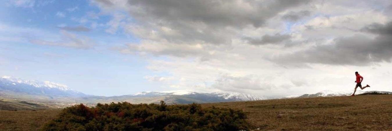 Mark Sorenson banner