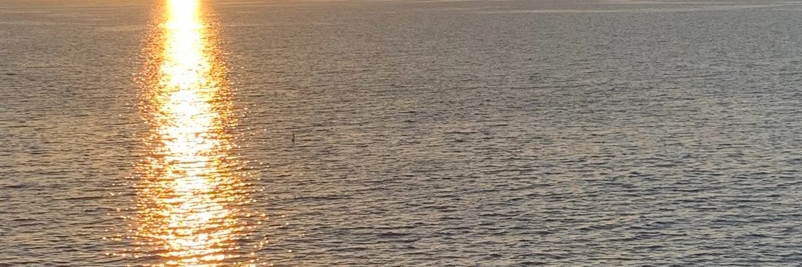 ShavinzCS's profile banner image