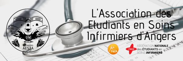 AESIA_Angers Profile Banner