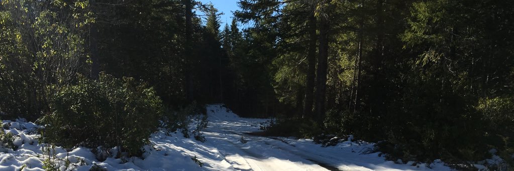 TheQualMan's profile banner image