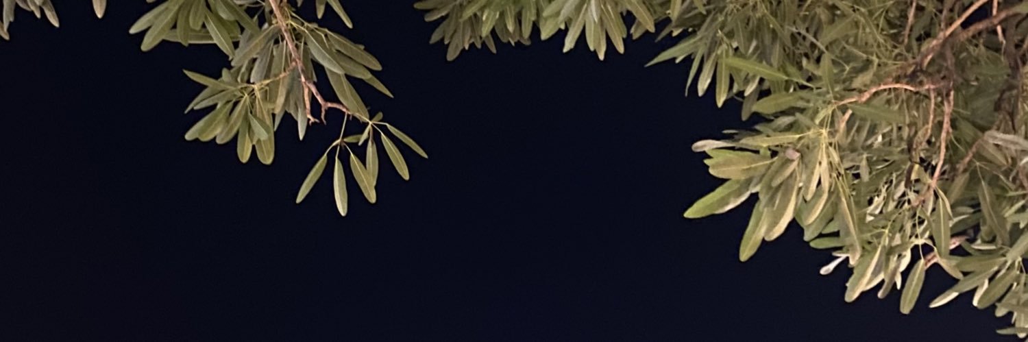 Sheilathar's profile banner image