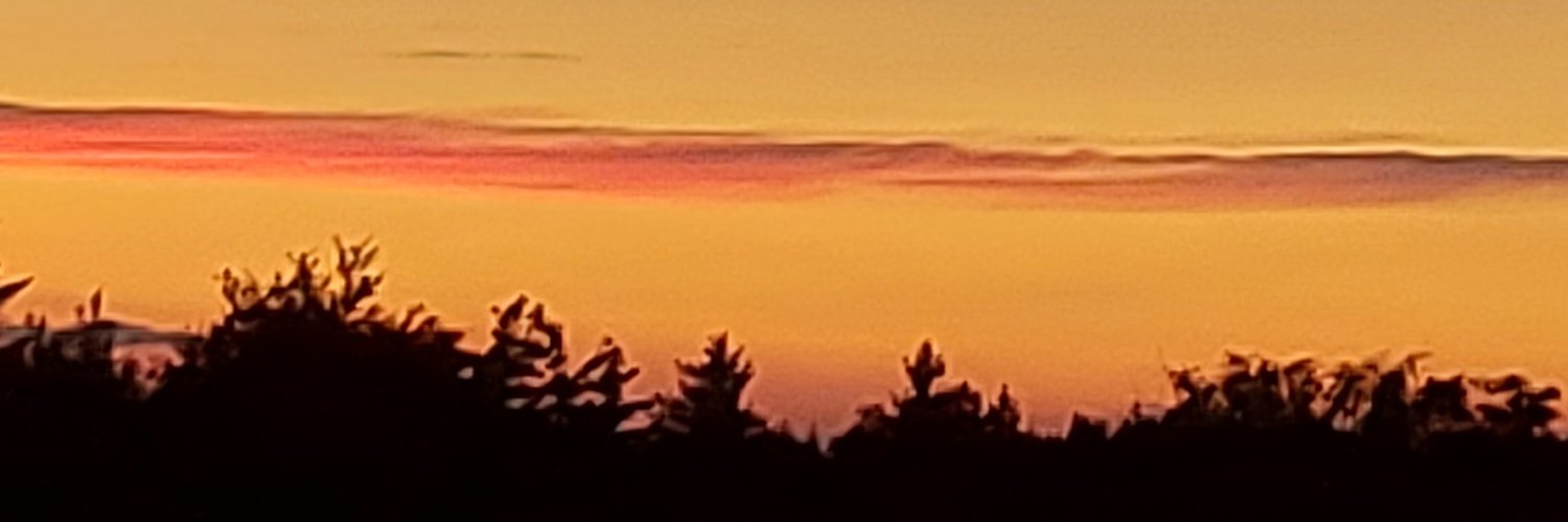 NasSalimleb's profile banner image