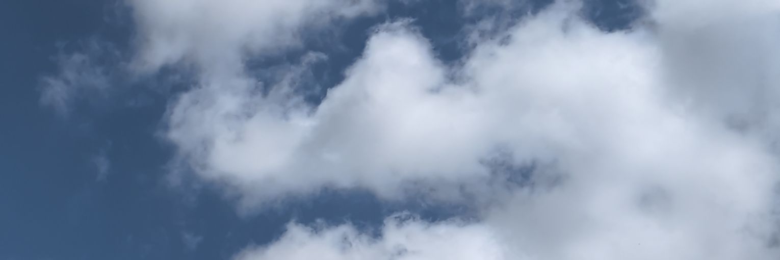 Vincent Chase banner