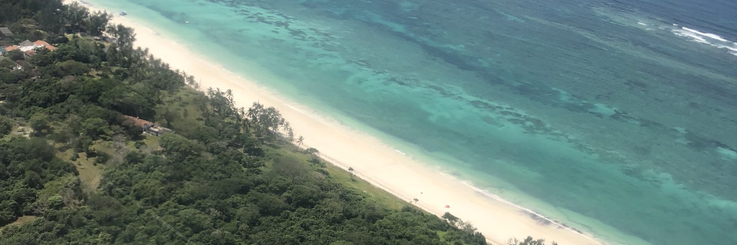 Plum 🇮🇹 banner