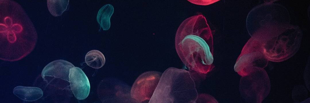 CryptoLover987's profile banner image