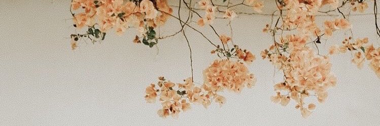sbrina94's profile banner image