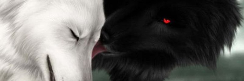 SaviorOfNoMercy's profile banner image