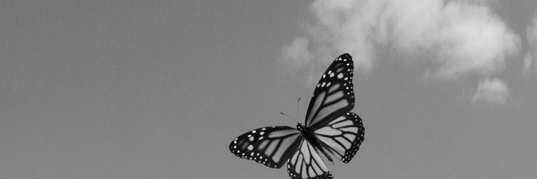 TheHabitProject's profile banner image