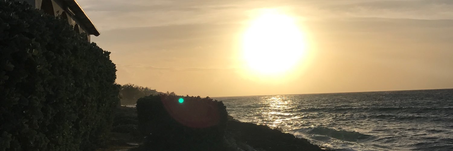 PippaMoger's profile banner image