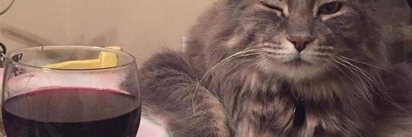 tunctn_ Profile Banner