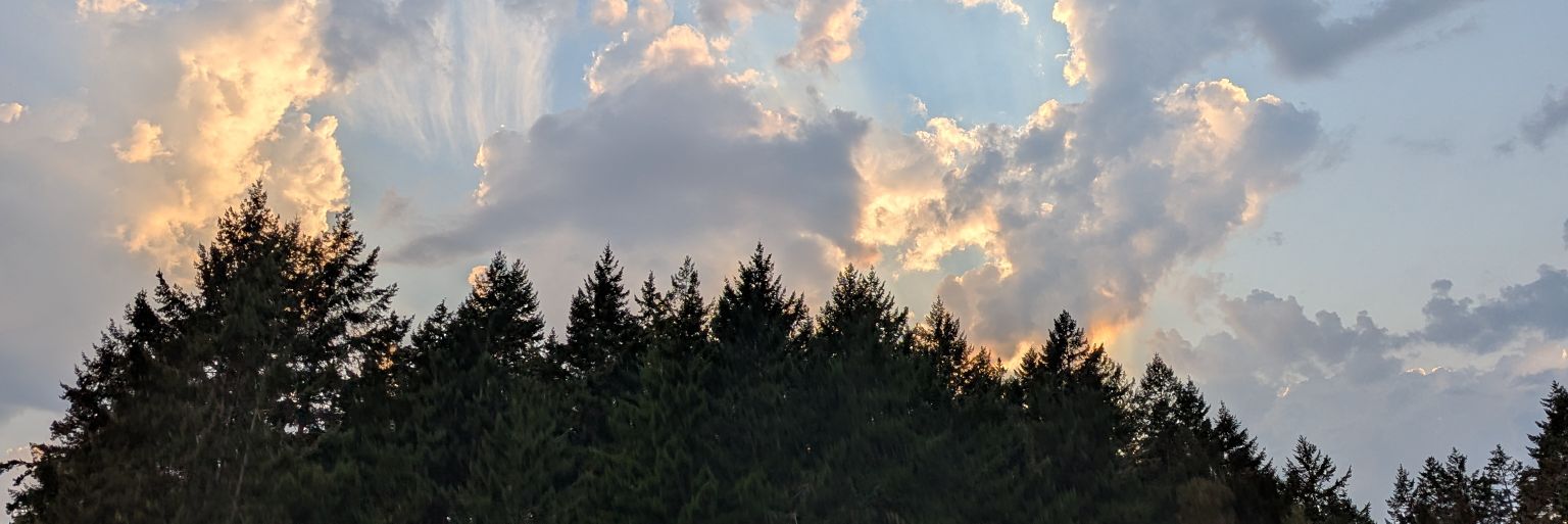 mbouchoutrouch's profile banner image