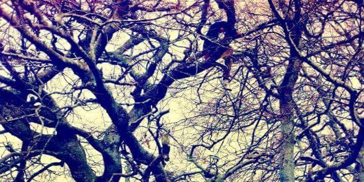 _Extasxty_'s profile banner image
